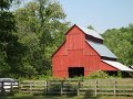 IMG_1594