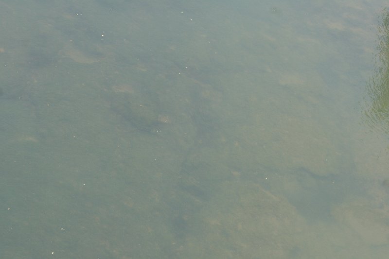 IMG_3173.JPG